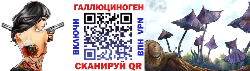 Галлюциногенные грибы GOLDEN TEACHER  Мурино 