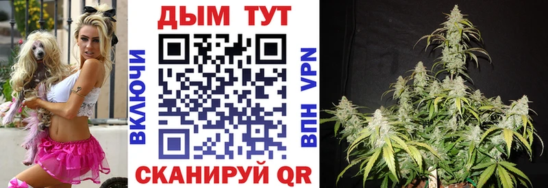 Конопля индика где найти mega маркетплейс Мурино
